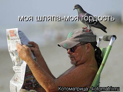 Котоматрица: моя шляпа-моя гордость