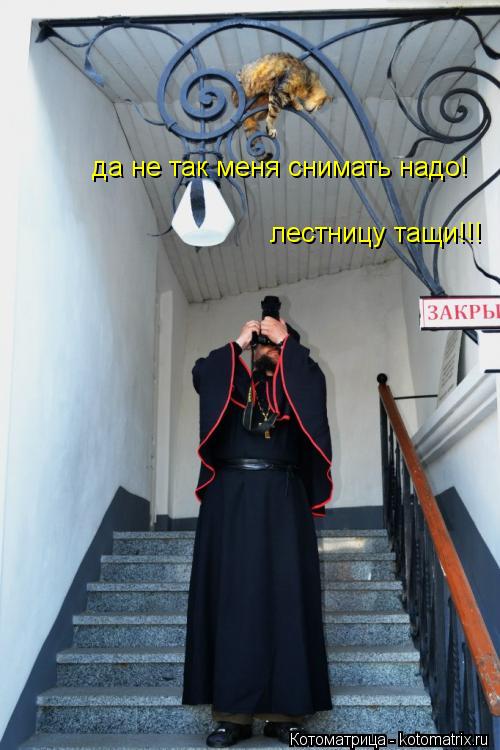 да не так меня снимать надо! лестницу тащи!!!... Котоматрица: да не так меня снимать надо! лестницу тащи!!!