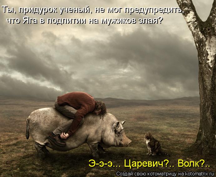 Ты, придурок ученый, не мог предупредить, что Яга в подпитии на мужиков злая? Э-э-э... Царевич?.. Во... Котоматрица: Ты, придурок ученый, не мог предупредить, что Яга в подпитии на мужиков злая? Э-э-э... Царевич?.. Волк?..