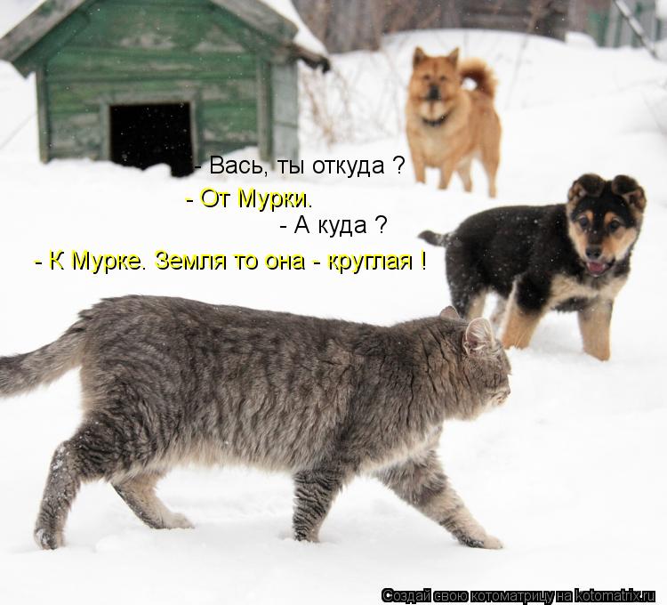 - Вась, ты откуда ? - От Мурки. - А куда ? - К Мурке. Земля то она - круглая !... Котоматрица: - Вась, ты откуда ? - От Мурки. - А куда ? - К Мурке. Земля то она - круглая !