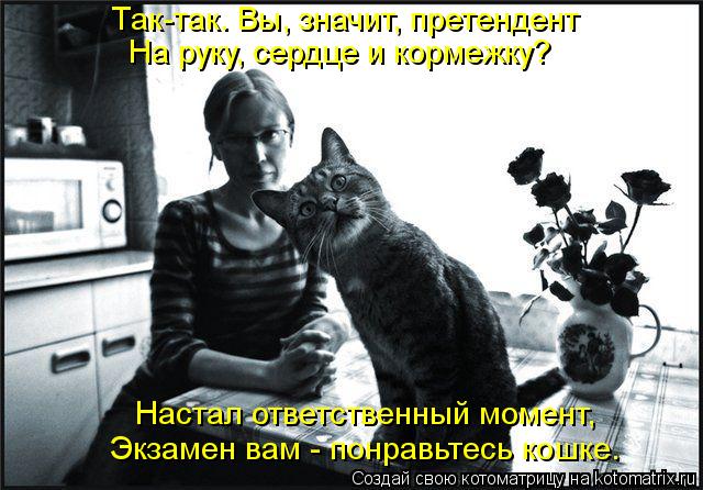 Так-так. Вы, значит, претендент На руку, сердце и кормежку? Настал ответственный момент, Экзамен вам ... Котоматрица: Так-так. Вы, значит, претендент На руку, сердце и кормежку? Настал ответственный момент, Экзамен вам - понравьтесь кошке.