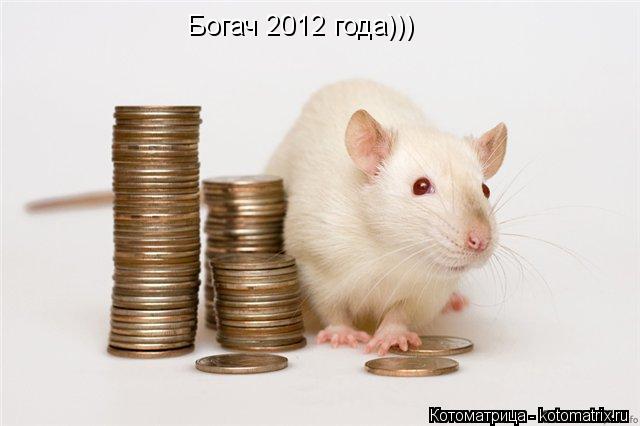 Богач 2012 года)))... Котоматрица: Богач 2012 года)))