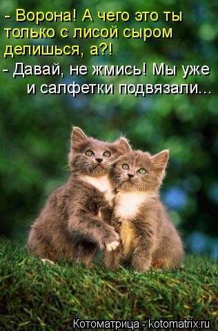 - Ворона! А чего это ты только с лисой сыром делишься, а?! - Давай, не жмись! Мы уже и салфетки подвя... Котоматрица: - Ворона! А чего это ты только с лисой сыром делишься, а?! - Давай, не жмись! Мы уже и салфетки подвязали...