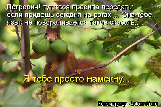 Котоматрица: Я тебе просто намекну... Петрович! тут твоя просила передать: если придешь сегодня на рогах ... Она тебе... язык не поворачивается такое сказат