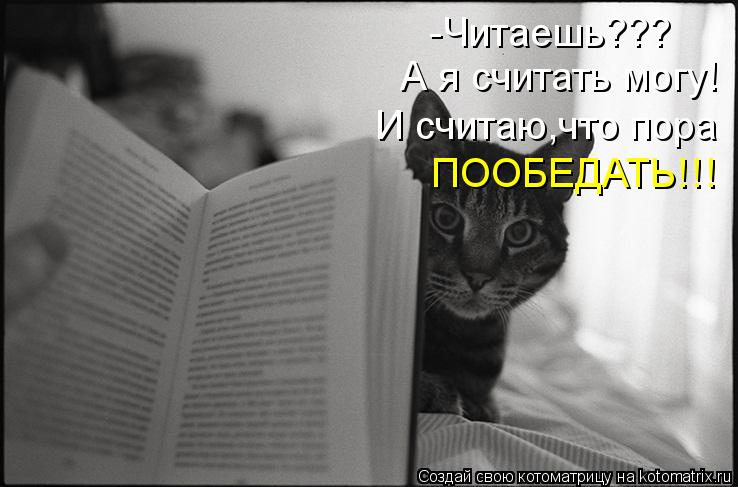 -Читаешь??? А я считать могу! И считаю,что пора ПООБЕДАТЬ!!!... Котоматрица: -Читаешь??? А я считать могу! И считаю,что пора ПООБЕДАТЬ!!!