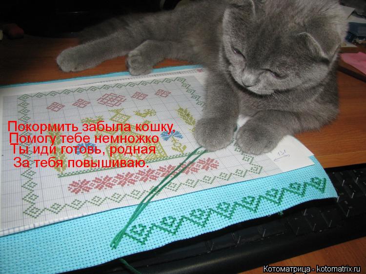 Покормить забыла кошку, Помогу тебе немножко Ты иди готовь, родная За тебя повышиваю.... Котоматрица: Покормить забыла кошку, Помогу тебе немножко Ты иди готовь, родная За тебя повышиваю.