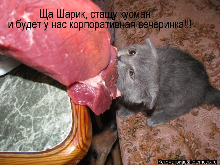 Котоматрица: Ща Шарик, стащу кусман  и будет у нас корпоративная вечеринка!!!