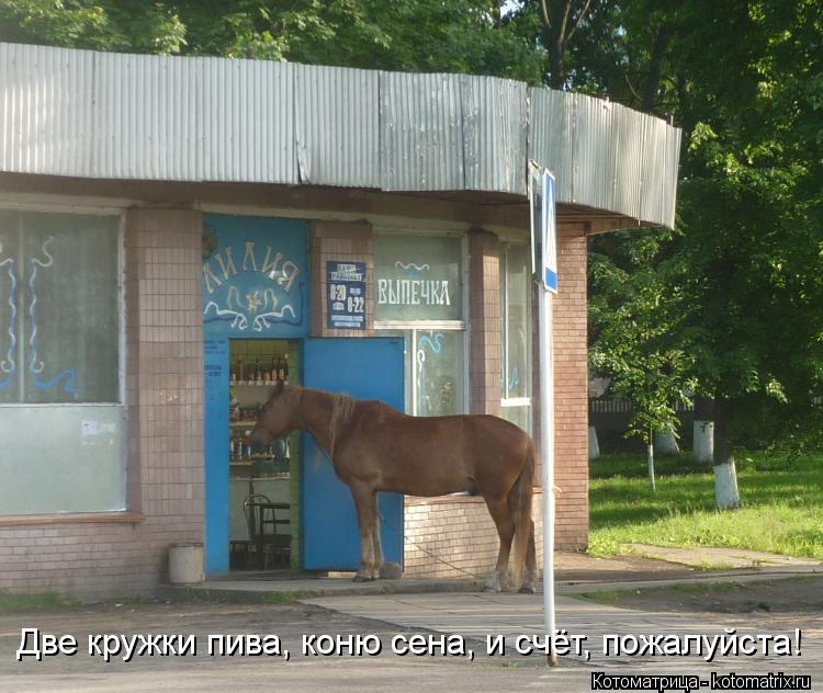 Две кружки пива, коню сена, и счёт, пожалуйста!... Котоматрица: Две кружки пива, коню сена, и счёт, пожалуйста!