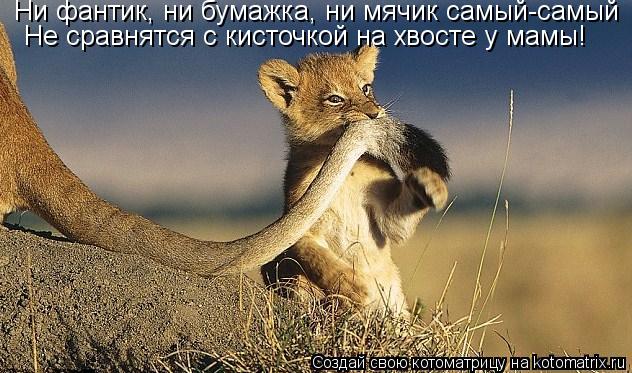 Ни фантик, ни бумажка, ни мячик самый-самый Не сравнятся с кисточкой на хвосте у мамы!... Котоматрица: Ни фантик, ни бумажка, ни мячик самый-самый Не сравнятся с кисточкой на хвосте у мамы!