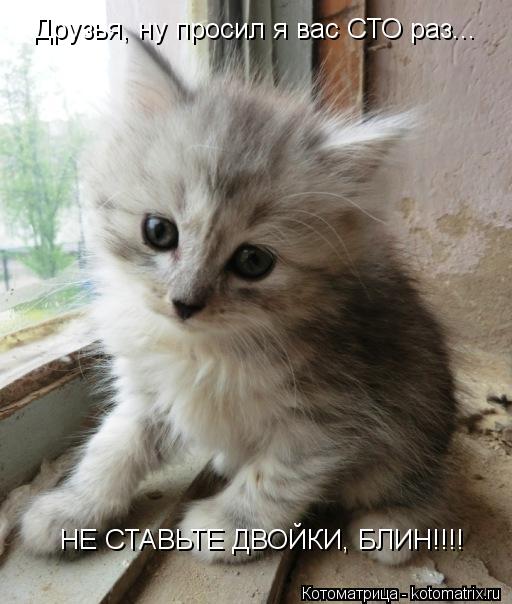 Котоматрица: Друзья, ну просил я вас СТО раз... НЕ СТАВЬТЕ ДВОЙКИ, БЛИН!!!!