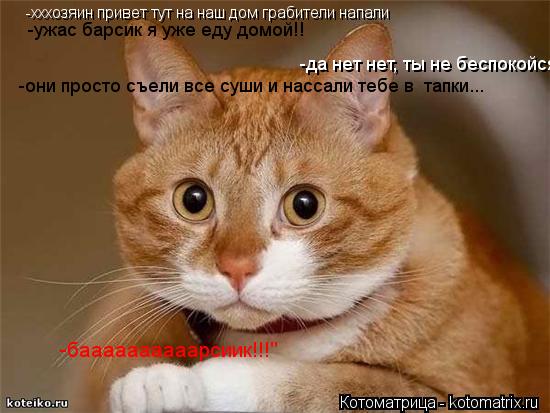 -хххозяин привет тут на наш дом грабители напали -ужас барсик я уже еду домой!! -да нет нет, ты не бе... Котоматрица: -хххозяин привет тут на наш дом грабители напали -ужас барсик я уже еду домой!! -да нет нет, ты не беспокойся! -они просто съели все суши и насс