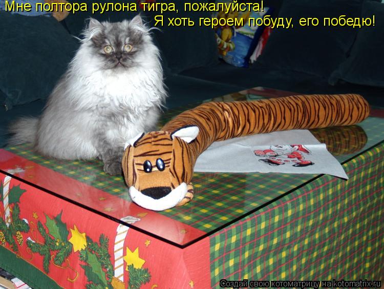 Мне полтора рулона тигра, пожалуйста! Я хоть героем побуду, его победю!... Котоматрица: Мне полтора рулона тигра, пожалуйста! Я хоть героем побуду, его победю!