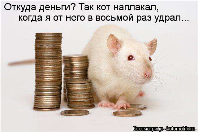 Откуда деньги? Так кот наплакал, когда я от него в восьмой раз удрал...... Котоматрица: Откуда деньги? Так кот наплакал, когда я от него в восьмой раз удрал...