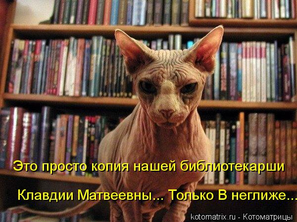Клавдии Матвеевны... Только В неглиже... Это просто копия нашей библиотекарши... Котоматрица: Клавдии Матвеевны... Только В неглиже... Это просто копия нашей библиотекарши