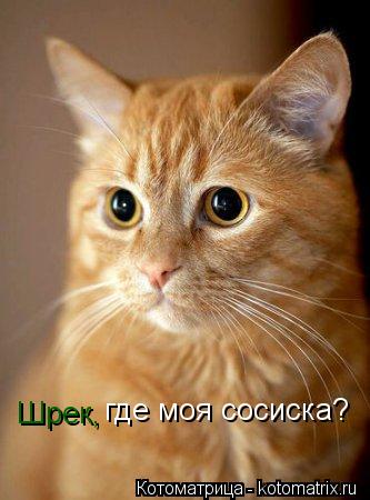 Шрек, где моя сосиска?... Котоматрица: Шрек, где моя сосиска?