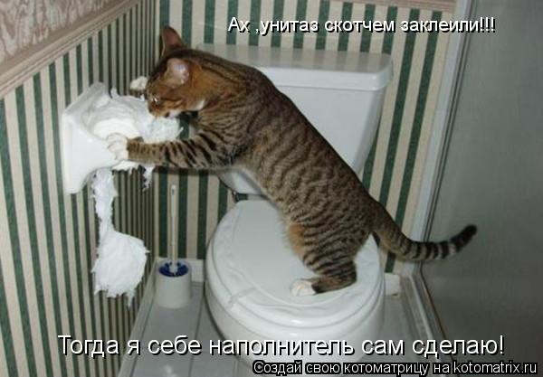 Ах ,унитаз скотчем заклеили!!! Тогда я себе наполнитель сам сделаю!... Котоматрица: Ах ,унитаз скотчем заклеили!!! Тогда я себе наполнитель сам сделаю!