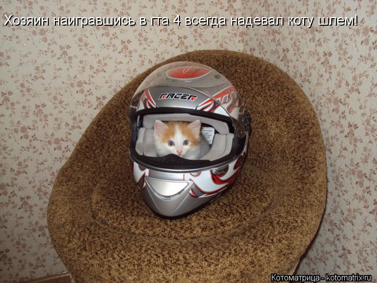 Хозяин наигравшись в гта 4 всегда надевал коту шлем!... Котоматрица: Хозяин наигравшись в гта 4 всегда надевал коту шлем!