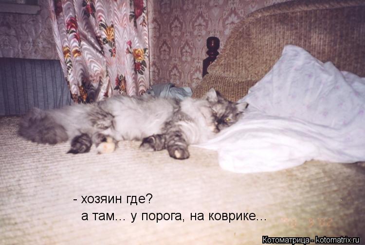 - хозяин где? а там... у порога, на коврике...... Котоматрица: - хозяин где? а там... у порога, на коврике...