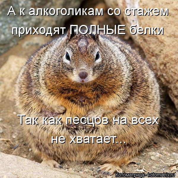 А к алкоголикам со стажем приходят ПОЛНЫЕ белки Так как песцов на всех не хватает...... Котоматрица: А к алкоголикам со стажем приходят ПОЛНЫЕ белки Так как песцов на всех не хватает...