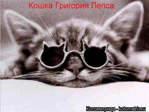 Котоматрица: Кошка Григория Лепса.