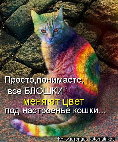 Просто,понимаете, все БЛОШКИ под настроенье кошки... меняют цвет... Котоматрица: Просто,понимаете, все БЛОШКИ под настроенье кошки... меняют цвет