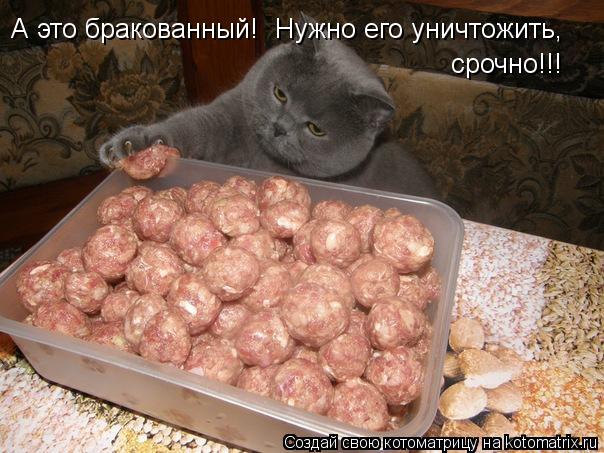 Котоматрица: А это бракованный! Нужно его уничтожить,  срочно!!!