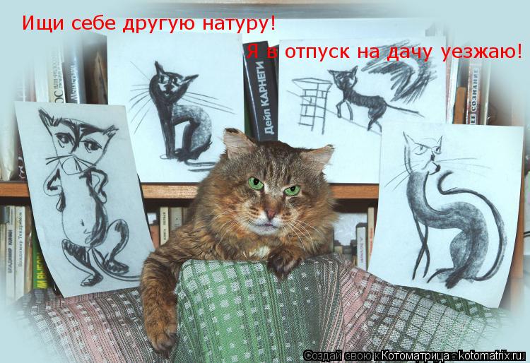 Котоматрица: Ищи себе другую натуру! Я в отпуск на дачу уезжаю!