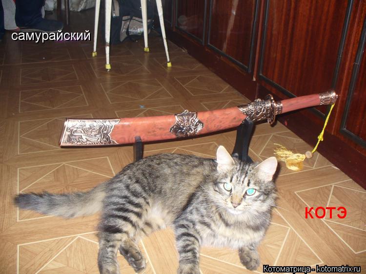 самурайский котэ... Котоматрица: самурайский котэ