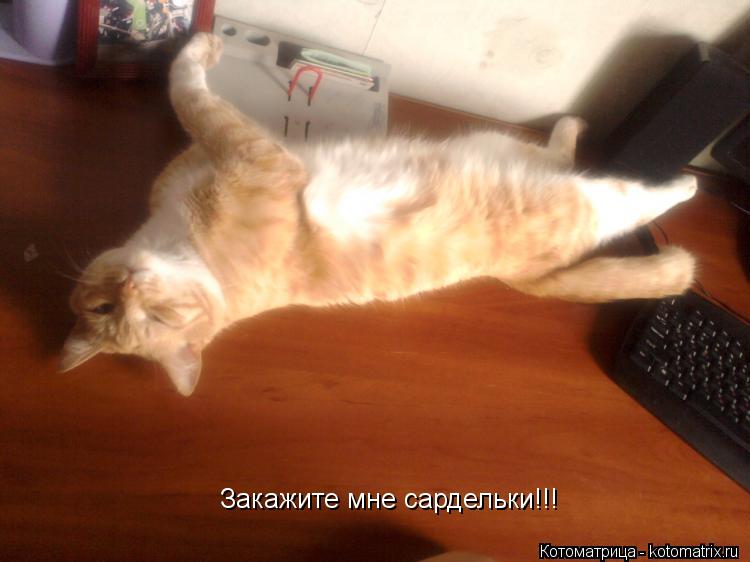Закажите мне сардельки!!!... Котоматрица: Закажите мне сардельки!!!