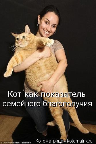Котоматрица: Кот как показатель семейного благополучия