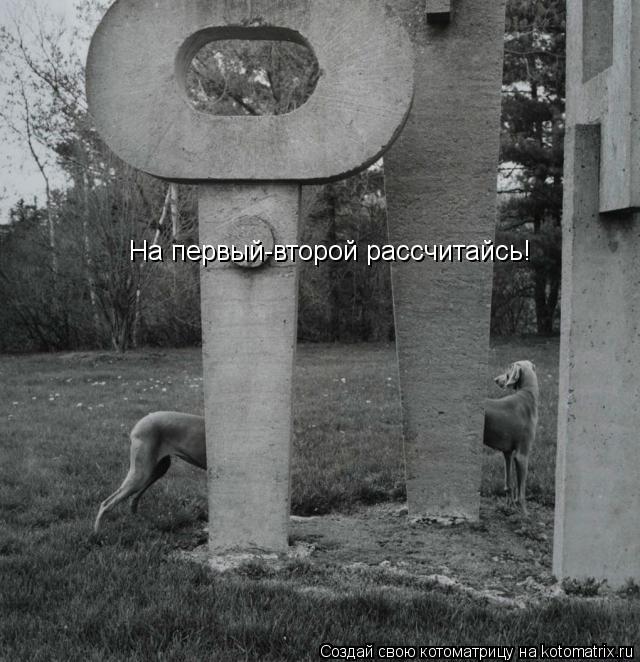 На первый-второй рассчитайсь!... Котоматрица: На первый-второй рассчитайсь!