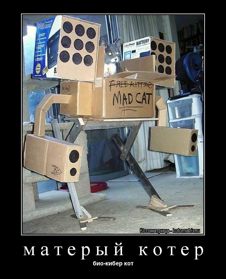 матерый котер био-кибер кот... Котоматрица: матерый котер био-кибер кот