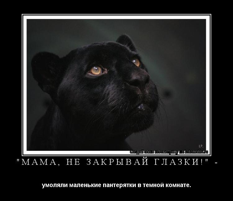 "МАМА, НЕ ЗАКРЫВАЙ ГЛАЗКИ!" - умоляли маленькие пантерятки в темной комнате.... Котоматрица: "МАМА, НЕ ЗАКРЫВАЙ ГЛАЗКИ!" - умоляли маленькие пантерятки в темной комнате.