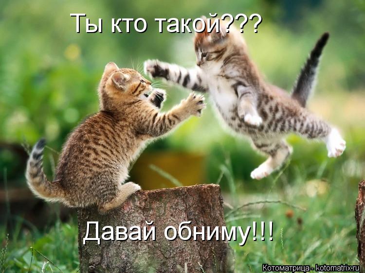 Ты кто такой??? Давай обниму!!!... Котоматрица: Ты кто такой??? Давай обниму!!!