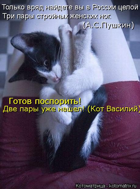 Котоматрица: Готов поспорить!  Только вряд найдете вы в России целой Три пары стройных женских ног. (А.С.Пушкин) Две пары уже нашел! (Кот Василий)