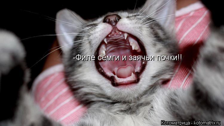 Котоматрица: -Филе сёмги и заячьи почки!!