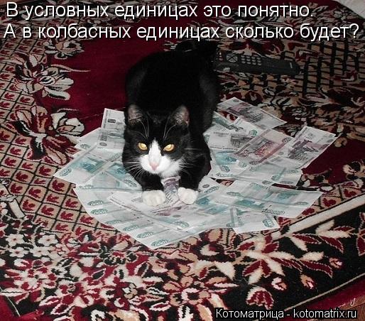 В условных единицах это понятно. А в колбасных единицах сколько будет?... Котоматрица: В условных единицах это понятно. А в колбасных единицах сколько будет?