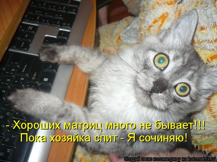 - Хороших матриц много не бывает!!! Пока хозяйка спит - Я сочиняю!... Котоматрица: - Хороших матриц много не бывает!!! Пока хозяйка спит - Я сочиняю!