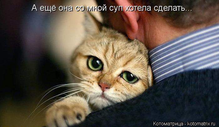 Котоматрица: А ещё она со мной суп хотела сделать...