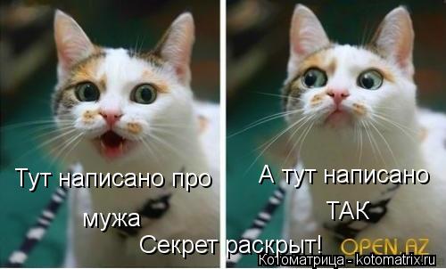 Тут написано про мужа А тут написано ТАК Секрет раскрыт!... Котоматрица: Тут написано про мужа А тут написано ТАК Секрет раскрыт!
