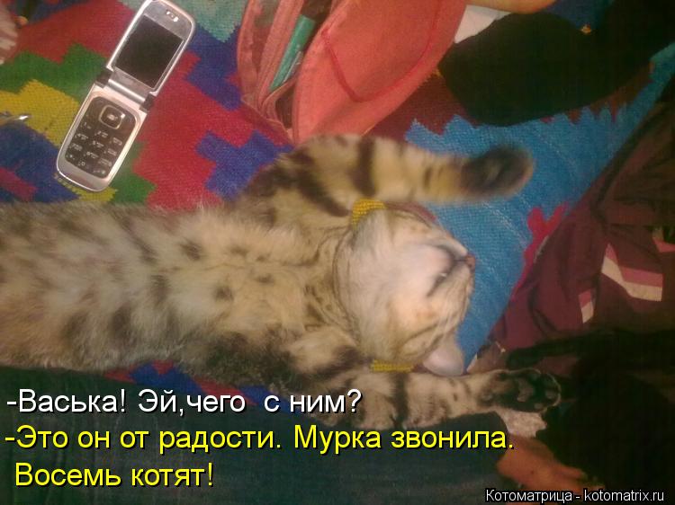 Котоматрица: -Васька! Эй,чего  с ним? -Это он от радости. Мурка звонила. Восемь котят!