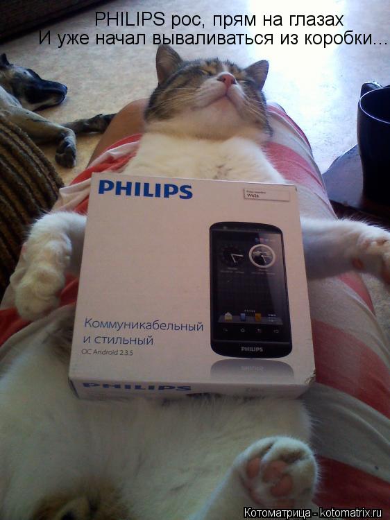 PHILIPS рос, прям на глазах И уже начал вываливаться из коробки...... Котоматрица: PHILIPS рос, прям на глазах И уже начал вываливаться из коробки...