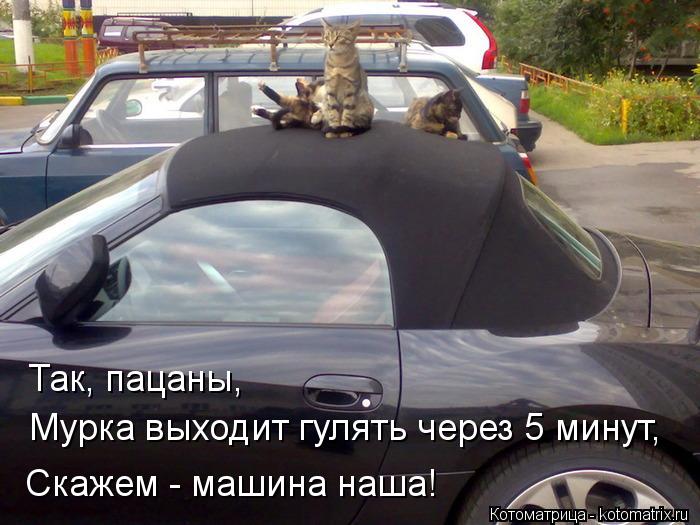 Так, пацаны, Мурка выходит гулять через 5 минут, Скажем - машина наша!... Котоматрица: Так, пацаны, Мурка выходит гулять через 5 минут, Скажем - машина наша!