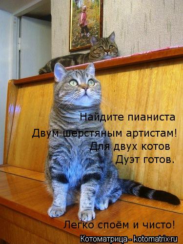 Котоматрица: Двум шерстяным артистам! Для двух котов Дуэт готов. Легко споём и чисто! Найдите пианиста