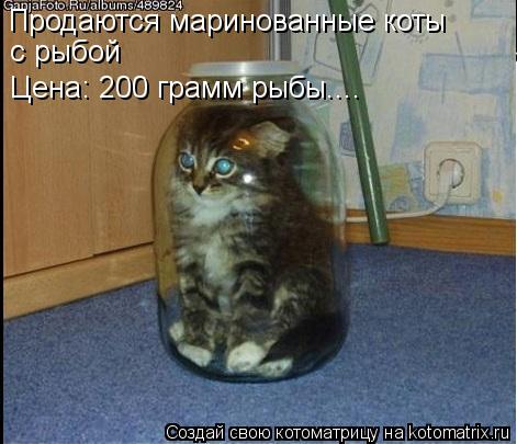 Котоматрица: Продаются маринованные коты  с рыбой Цена: 200 грамм рыбы....