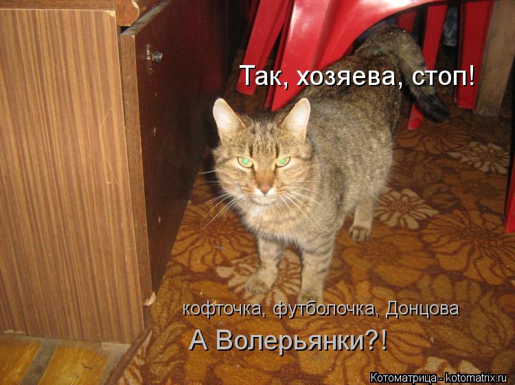 Так, хозяева, стоп! кофточка, футболочка, Донцова А Волерьянки?!... Котоматрица: Так, хозяева, стоп! кофточка, футболочка, Донцова А Волерьянки?!