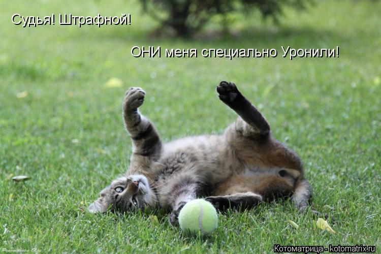 Котоматрица: Судья! Штрафной! ОНИ меня специально Уронили!