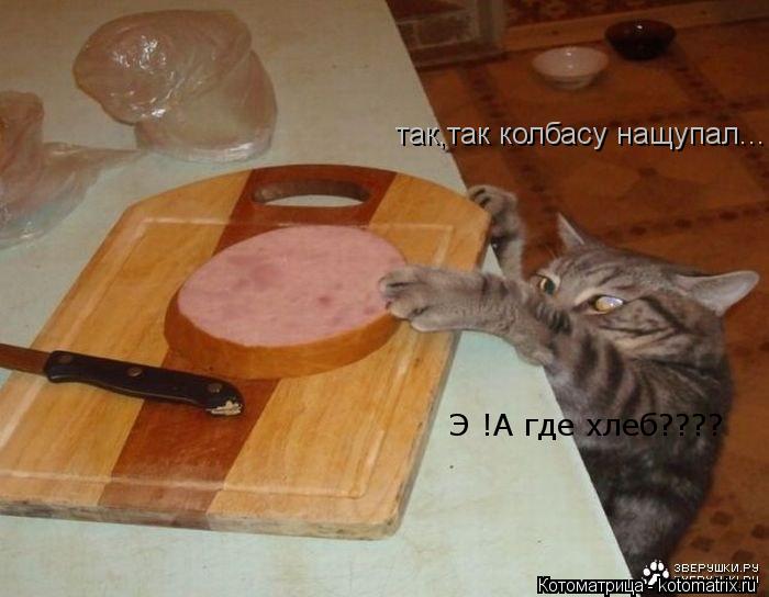 так,так колбасу нащупал... Э !А где хлеб????... Котоматрица: так,так колбасу нащупал... Э !А где хлеб????