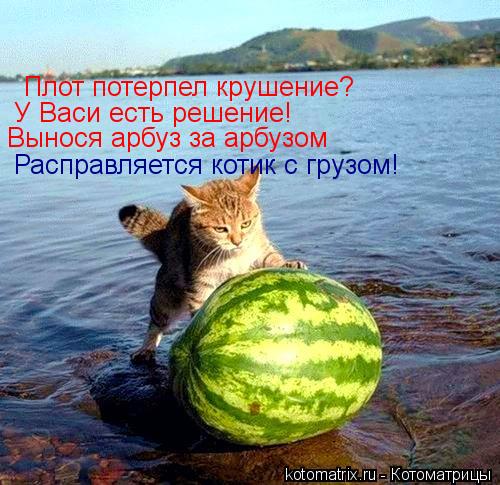 Плот потерпел крушение? У Васи есть решение! Вынося арбуз за арбузом Расправляется котик с грузом!... Котоматрица: Плот потерпел крушение? У Васи есть решение! Вынося арбуз за арбузом Расправляется котик с грузом!