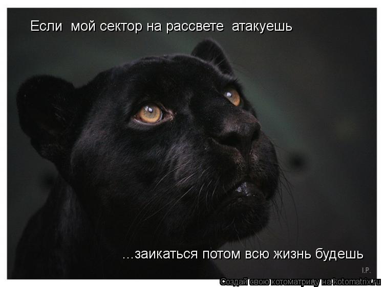 Котоматрица: ...заикаться потом всю жизнь будешь  Если  мой сектор на рассвете  атакуешь
